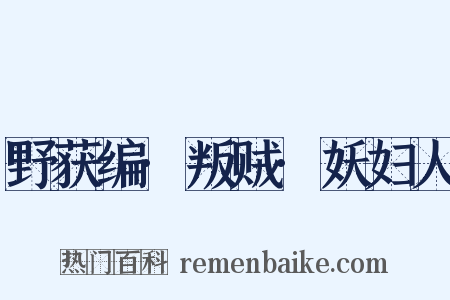 野获编·叛贼·妖妇人是什么意思的图片